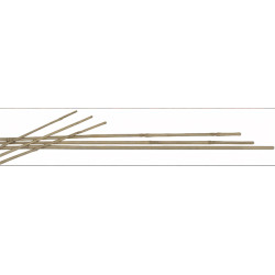 MAZO 5 TUTORES BAMBU 120 CM